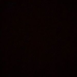 Meet your Posher, Rae